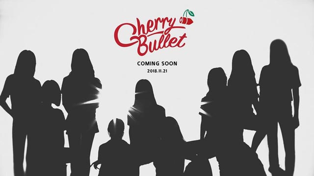FNC新ガールズグループ“Cherry Bullet”…「AOAの成功を受け継ぐ」