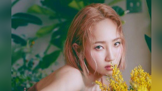 HA:TFELT、デビュー14年目に初のソロアルバムをリリース