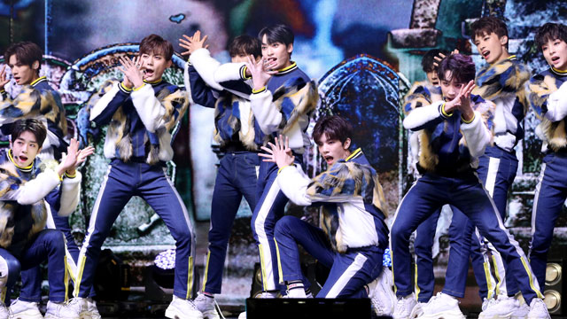 TRCNG、ウヨプとテソンが事務所に契約解除通告、常習児童虐待などの疑いで警察に告訴状提出