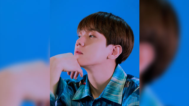 EXO ベクヒョン、BoAの「Garden In The Air」をリメイク…31日リリース