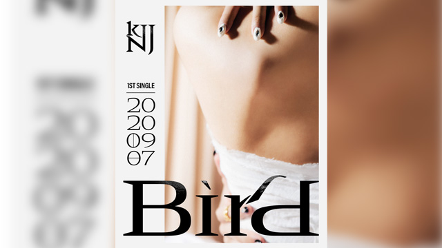 Apinkキム･ナムジュ、来月7日にシングル「Bird」でソロデビュー…(G)I-DLEのソヨンと強力タッグ