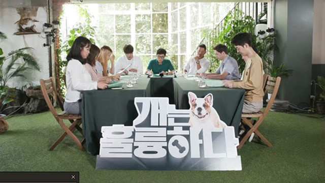 「ペットバラエティ～犬は素晴らしい」、「第1回犬首脳会談」を開催…韓国のペット文化などを多角的に討論