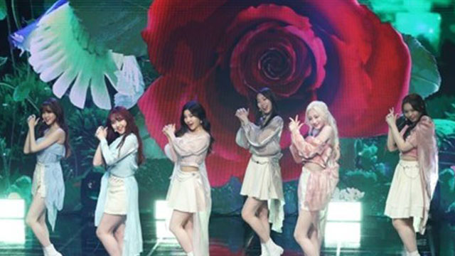 新人ガールズグループILY:1、ニューシングル「Que Sera Sera」をリリース