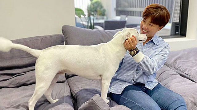プロゴルファー出身のパク・セリ、「ペットバラエティ～犬は素晴らしい」に合流へ