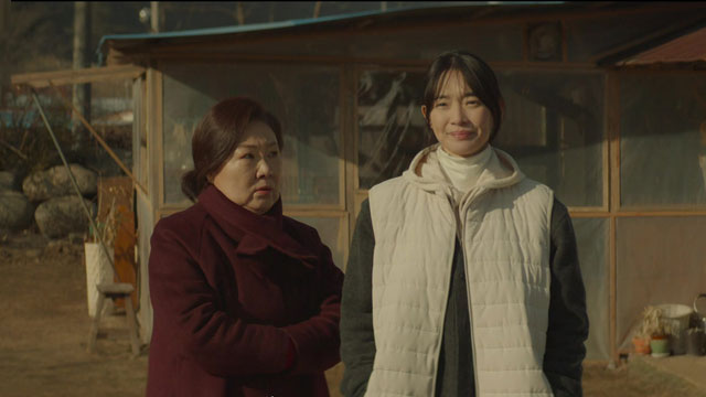 キム・ヘスク&シン・ミナ主演映画『3日の休暇』、ボックスオフィス2位で出発…『ソウルの春』は15日間1位