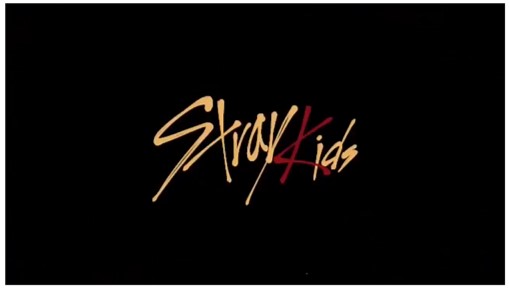 世界中が注目するStray Kidsの魅力…一問一答式のインタビューを一挙大公開