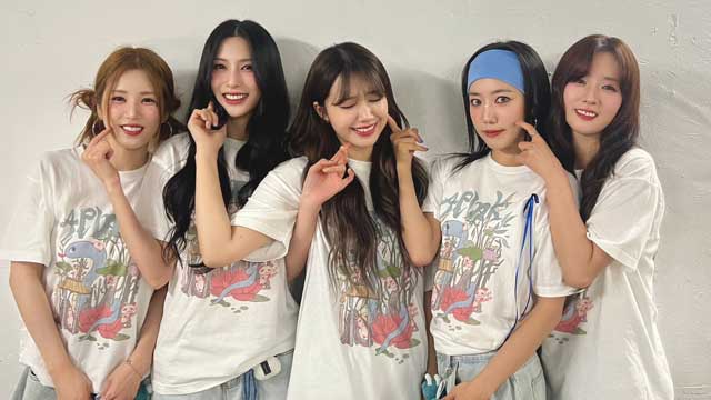 デビュー14周年のApink、来月に完全体でカムバック