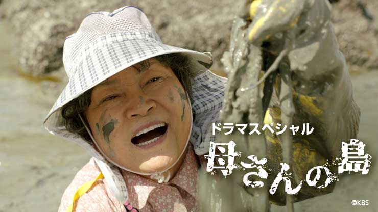 【DS】母さんの島