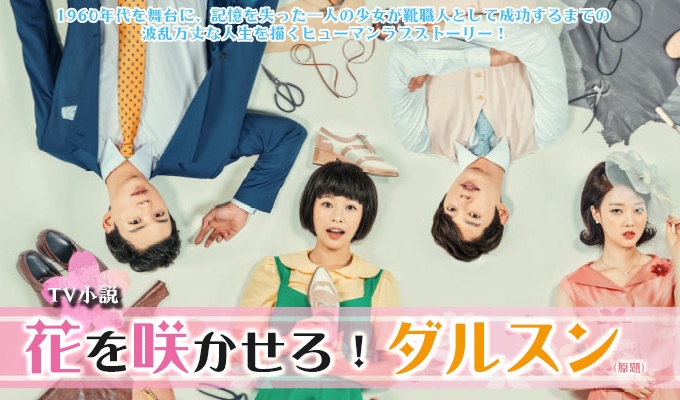TV小説　花を咲かせろ！ダルスン（原題）